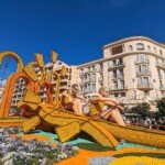 Mentone Olympic rowers